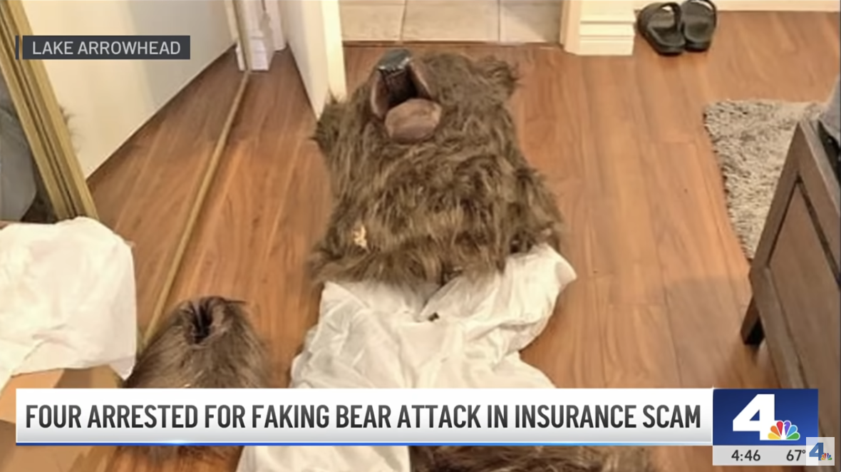 fake bear attack